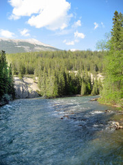 Fototapeta na wymiar Canadian Rockies River Rapids