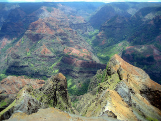 Fototapeta na wymiar Scene of Waimea Canyon on Kauai