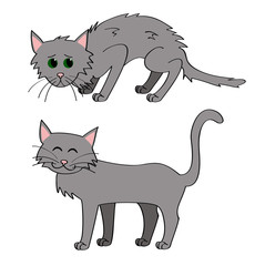 homeless cat and adopted cat vector illustration