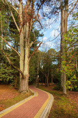 stone path for walks
