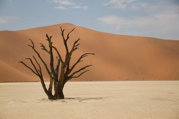 Sossusvlei