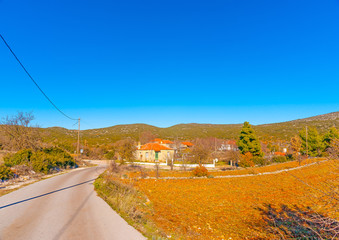 Fototapete bei efototapeten.de bestellen   