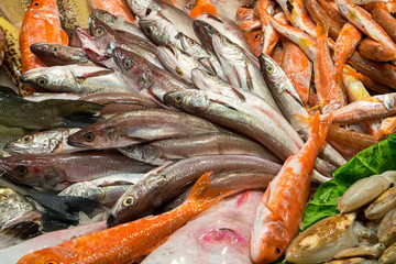 Different kinds of fish for sale at a market