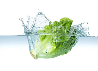salad splash