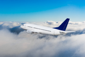 Fototapeta na wymiar Passenger airliner flight in the blue sky