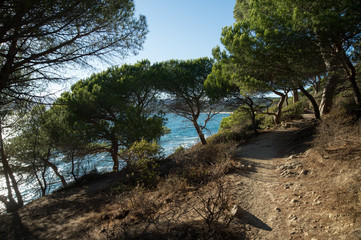 Wandeerweg am Cap Lardier, S&uuml;dfrankreich