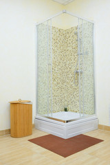 Shower cabin with mosaic tiles and glass door