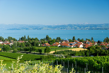 Obraz premium Bodensee