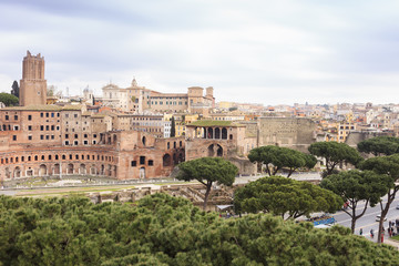 Ancient Rome and pine trees