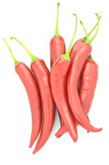 czerwone papryczki chili na białym tle