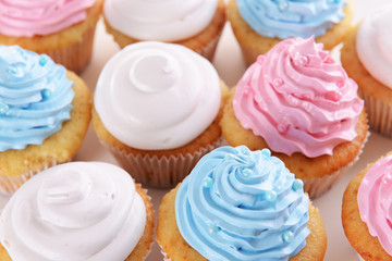 Obraz na płótnie Canvas Delicious cupcakes isolated on white