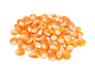 Corn with white background