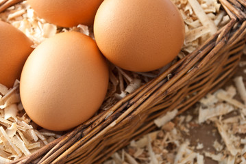 Egg on sawdust with old basket is over on wooden background