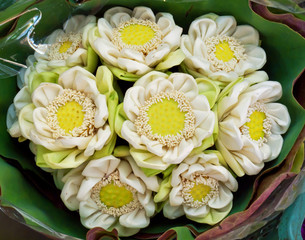 Folding lotus bouquet
