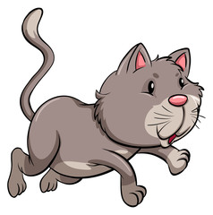 A gray cat