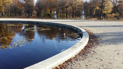 Kaczy staw © Konrad_elx