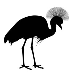 African crowned crane. Vector silhouette