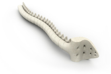 3d render of human spine.