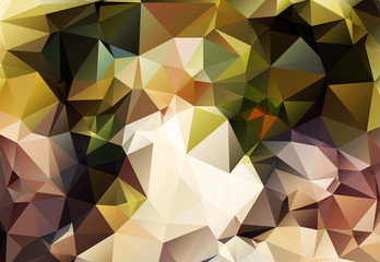 Fototapeta premium Colorful Polygonal Mosaic Background
