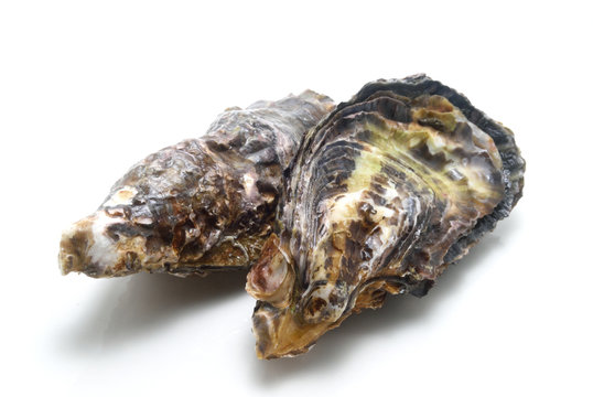 生牡蠣