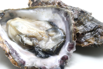 生牡蠣の剥き身