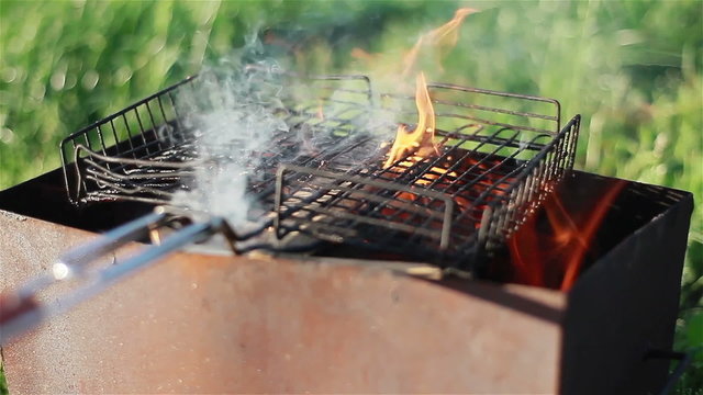 Summer picnic bbq cooking on the grill