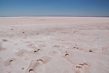 Salt lake in Australian outback
