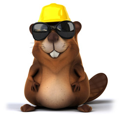 Fun beaver © Julien Tromeur