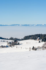 Schwarzwald mit Vogesen