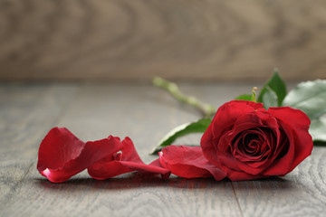 One red rose on oak wood table