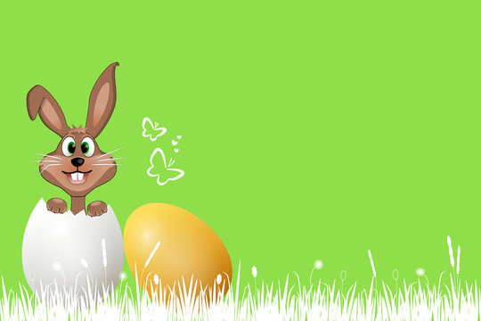 rascal easter bunny in the egg