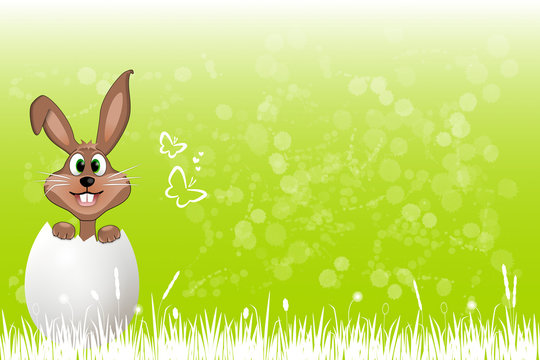 rascal easter bunny in the egg #2