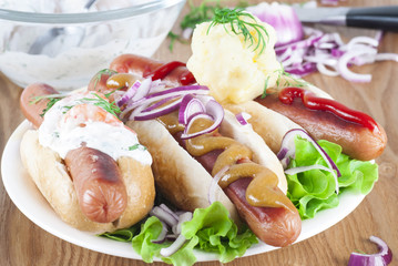 Hot Dog. New version.