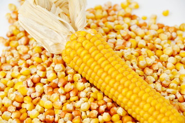 corn and tinned corn