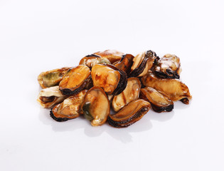 Mussel
