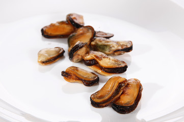 Mussel