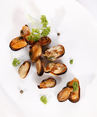 Mussel on white