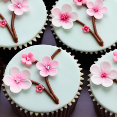 Cherry blossom cupcakes