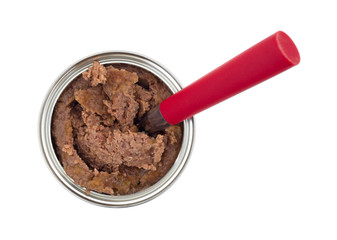 Generic dog food in a can with a spoon