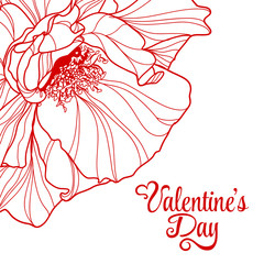 Valentines day design with rose