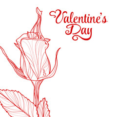 Valentines day design with rose