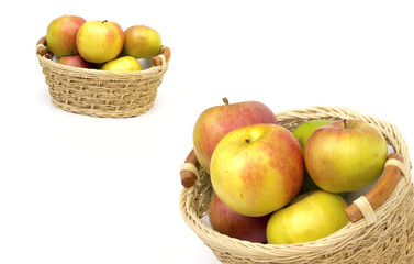 apples  on the white background