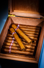 Cigars in humidor