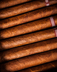 Cigars in humidor