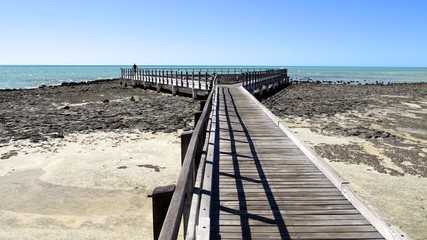 Fototapeta na wymiar Stromatolites - Shark Bay World Heritage Area