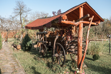 old horse cart decorated with onion ropes in a garden
