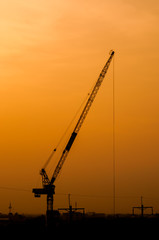 Fototapeta premium Cranes