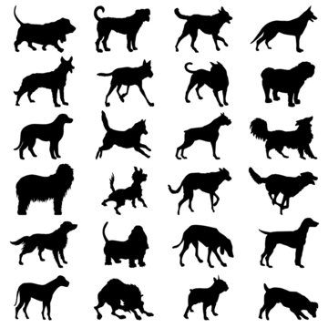 Dog collection icon great for any use. Vector EPS10.