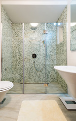 Interior modern bathroom shower cabin