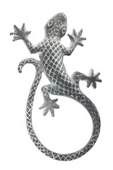 Fototapeta na wymiar lizard reptile isolate object background